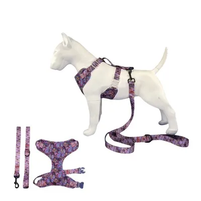 Set pasjih pasov in povodcev