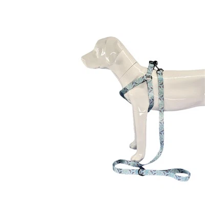 Pasji pas za velike pse