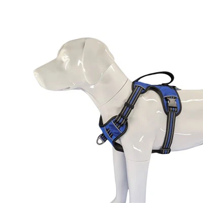 Pasji pas za težke obremenitve